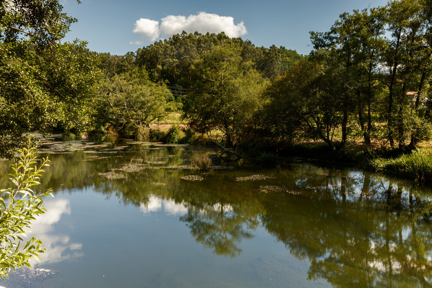 Río Umia a su paso por Caldas de Reis