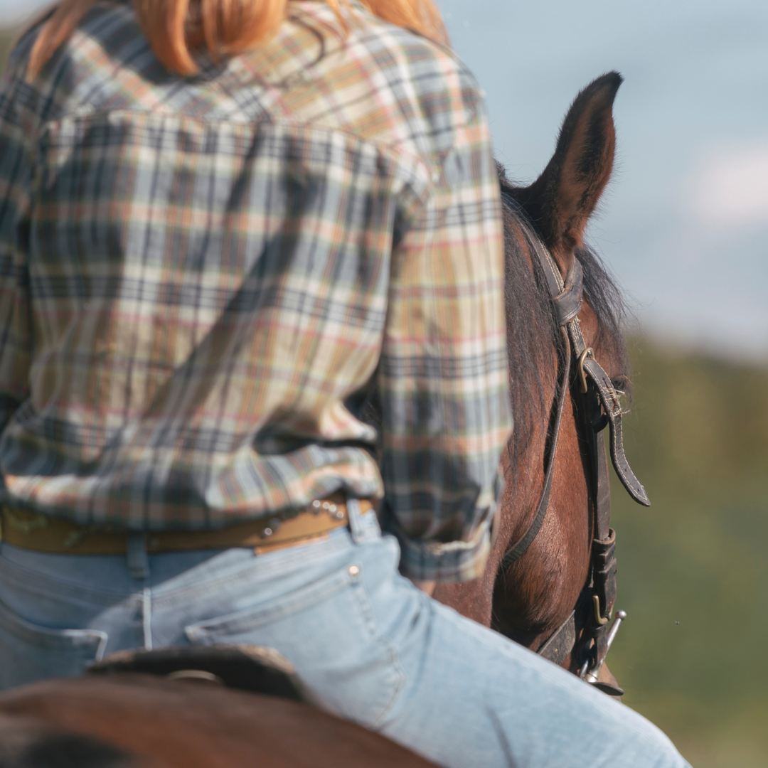Rutas a caballo y sin motor en el entorno de Caldas de Reis