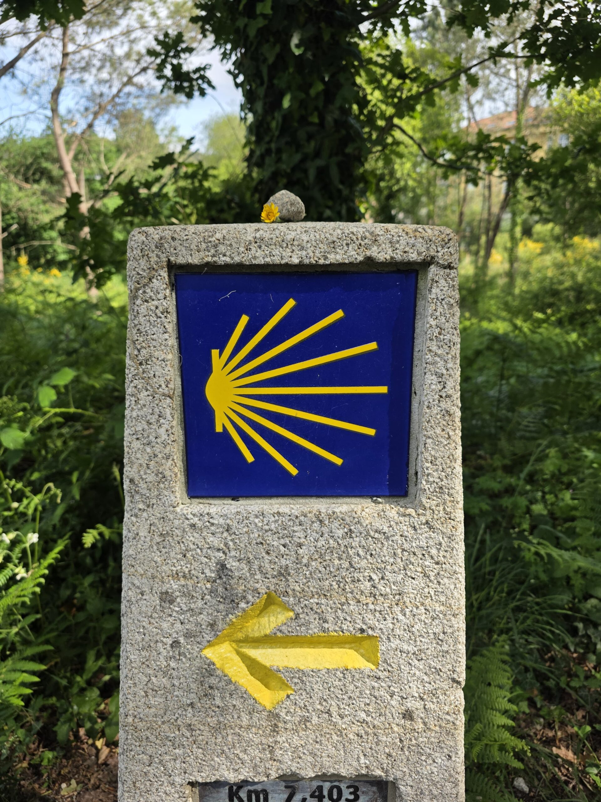 Mojón del Camino de Santiago con la vieira amarilla sobre fondo azul